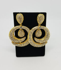 The Exotic Spiral Stone Earrings