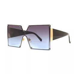 LNSG008 - Oversized Summer Sunglasses